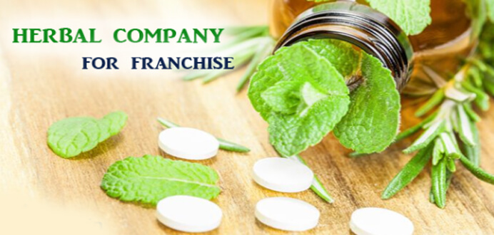 best herbal products franchise